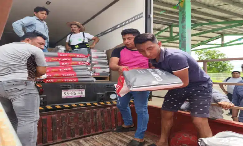 Campesinos de Hopelchén reciben 3 mil bultos de semilla de maíz